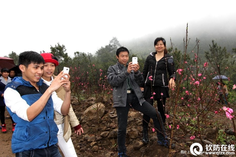 滩营十寨沟桃花开放惹人爱