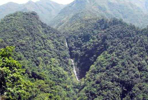 十万大山国家森林公园