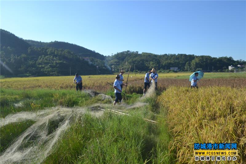 防城区两部门联合执法保护候鸟迁徙安全